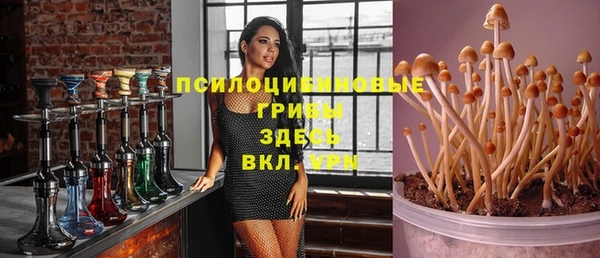 Альфа ПВП Абинск