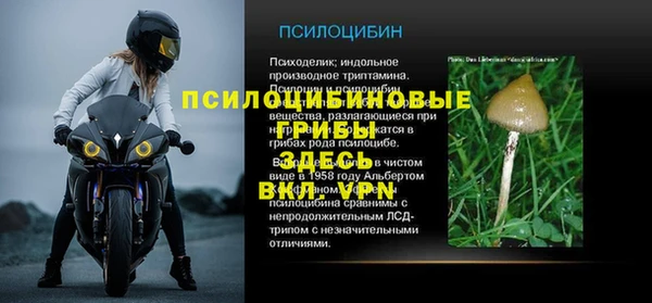 apvp Абдулино